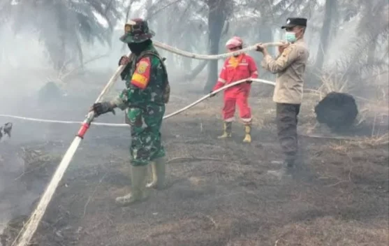 Kabut Asap Berbahaya bagi Kesehatan