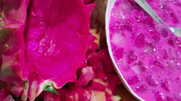Manfaat Kulit Buah Naga Merah yang Tersembunyi