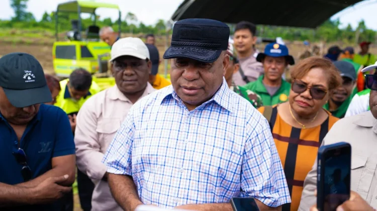 Pemprov Papua Kembangkan Jagung, Peternakan, dan Pangan Lokal