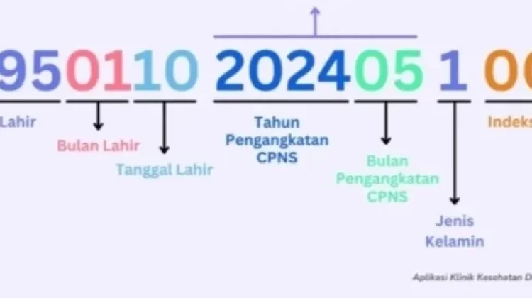 NIP: Identitas Seorang PNS