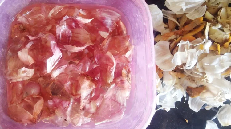 Manfaat Rendaman Kulit Bawang Merah untuk Kesuburan Tanaman