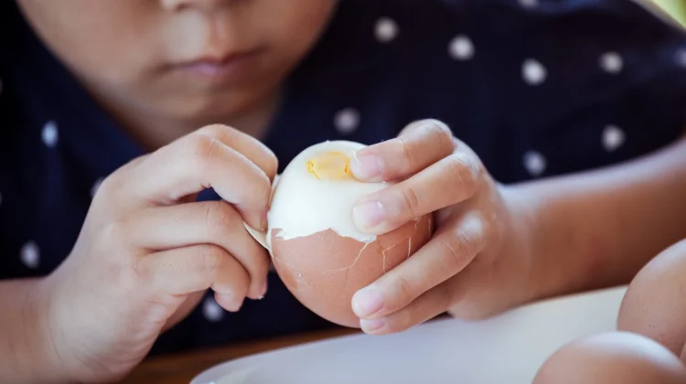 Kulit Telur Lengket saat Dikupas, Ini Penyebabnya