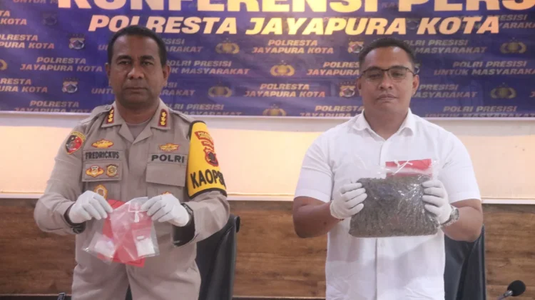 Tim Opsnal Polsek Muara Tami Ungkap Peredaran Ganja