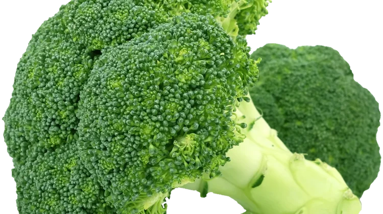 Manfaat Sayur Brokoli untuk Anak