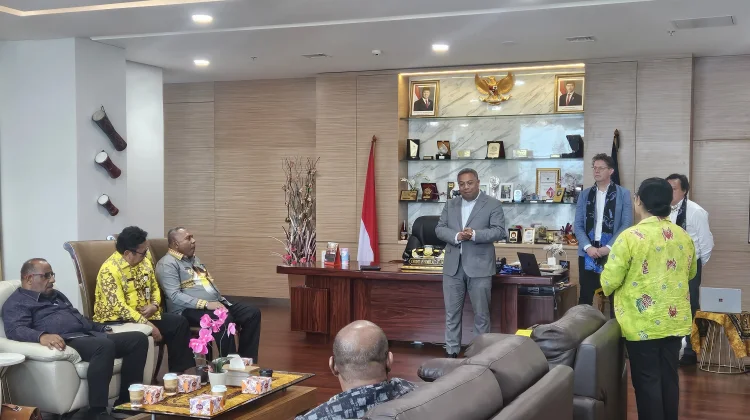 Investor Belanda Jajaki Energi Terbarukan di Papua