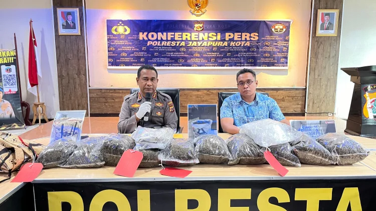 Polresta Jayapura Ungkap 8,3 Kg Ganja, Terbesar di 2026
