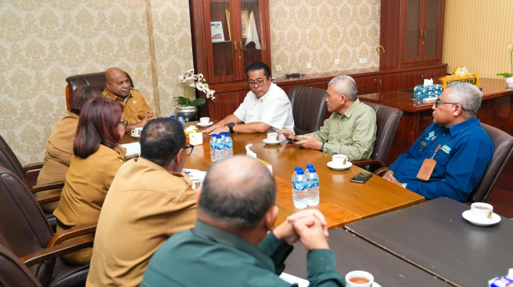 Pemprov Papua Diminta Dukung Sosialisasi Program Cetak Sawah