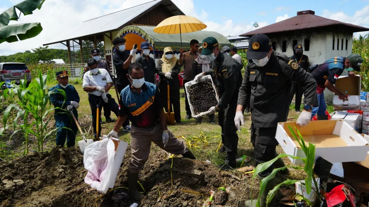 Karantina Papua Catat Empat Penindakan Pangan hingga April