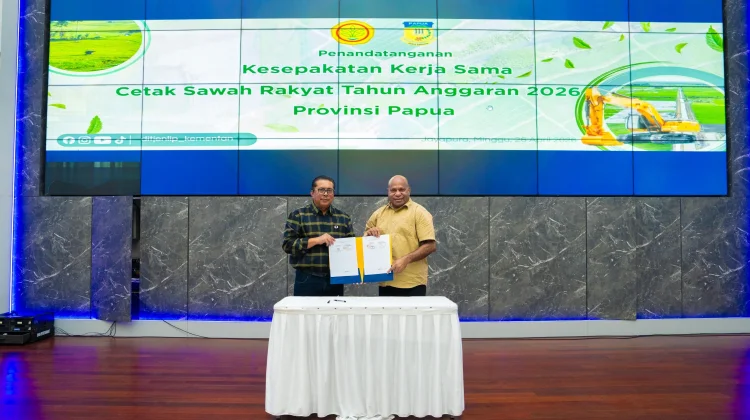 Pemprov Papua dan Kementan Sepakati Pengembangan Sawah Baru