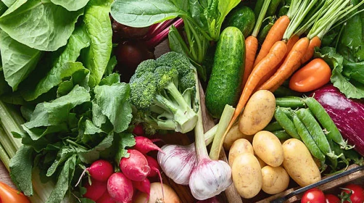 Kenali Beberapa Jenis Sayur yang Bisa Diolah Menjadi Jus