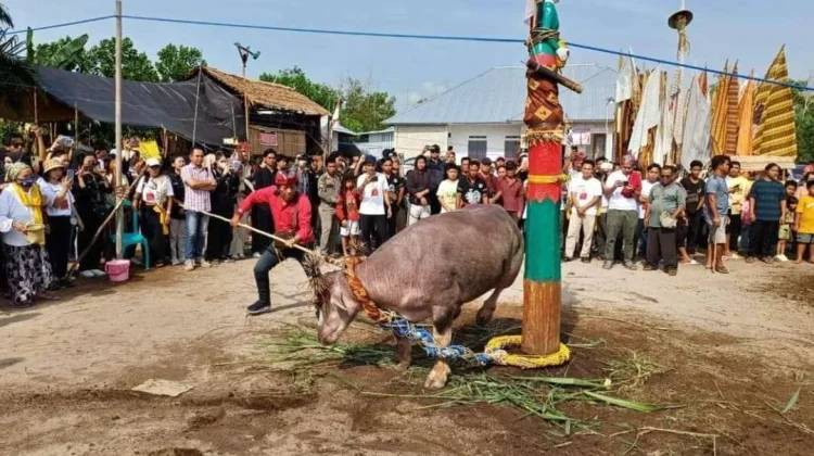 Ritual Adat Nusantara Bertahan, Warisan Leluhur Tetap Hidup