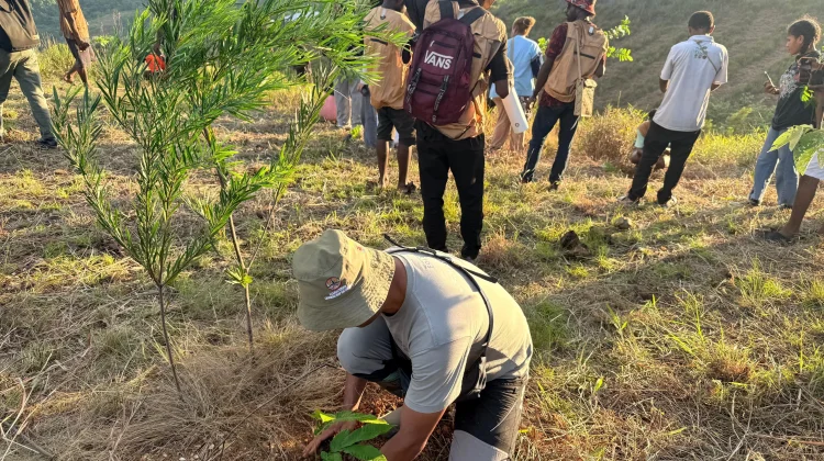 Astra Motor Dukung Pelaksanaan Penanaman 1.300 Pohon di Bukit Khambu Jayapura