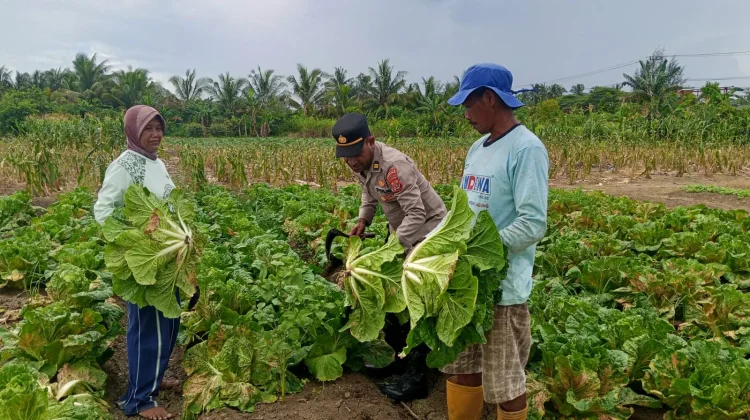 Polsek Muara Tami Sambangi Kelompok Tani Koya Barat