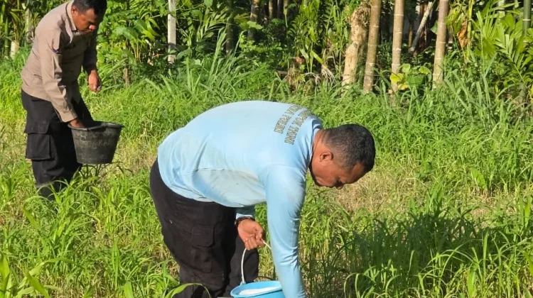 Polres Jayapura Optimalkan Ketahanan Pangan