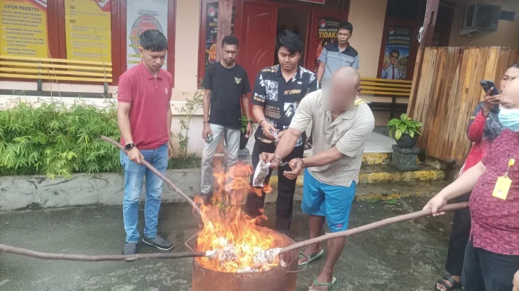 Sat Resnarkoba Polres Jayapura Musnahkan Barang Bukti Ganja Hasil Pengungkapan