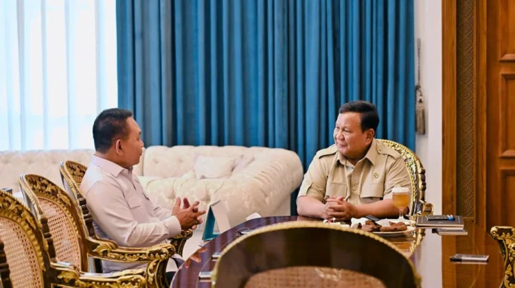 Presiden dan Jenderal Dudung Bahas Situasi Pertahanan dan Keamanan