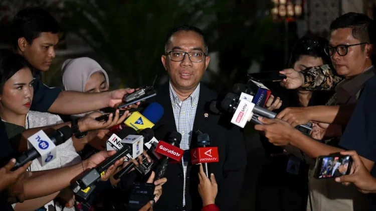 Presiden Prabowo Targetkan 17 Gigawatt PLTS Terbangun Tahun Ini