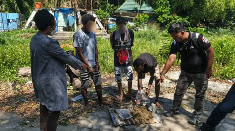 Polresta Jayapura Kota Musnahkan Ganja Hasil Pengungkapan Kasus