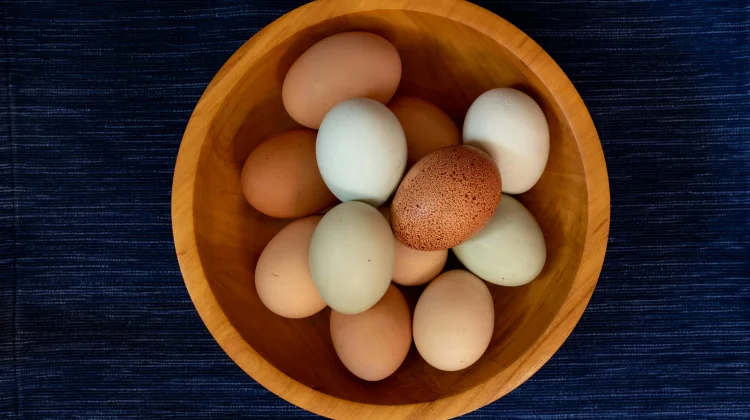 Telur Ayam atau Telur Bebek, Mana yang Cocok untuk Adonan Kue?