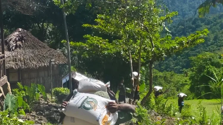 Menembus Batas: Sepiring Nasi Penjaga Ketahanan Pangan Bumi Cenderawasih