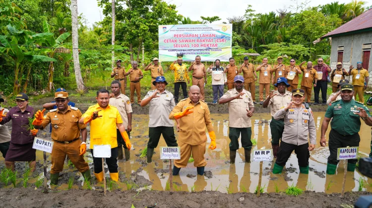 Fakhiri Tanam Padi Perdana di Waropen, Bidik 700 Hektare Sawah