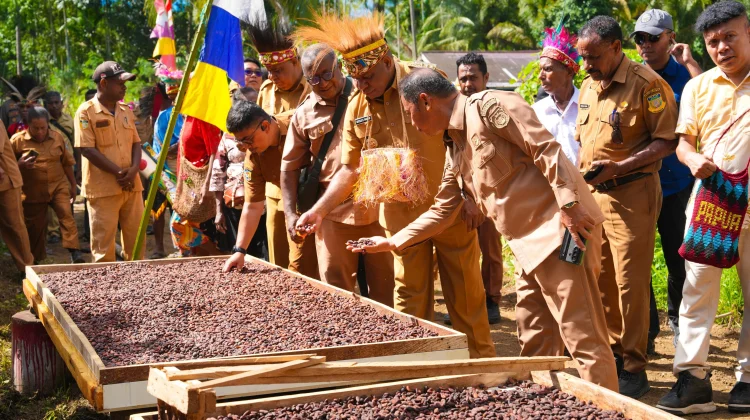 Gubernur Papua Janjikan Bantuan Bibit dan Alat untuk Petani Kakao Yapen