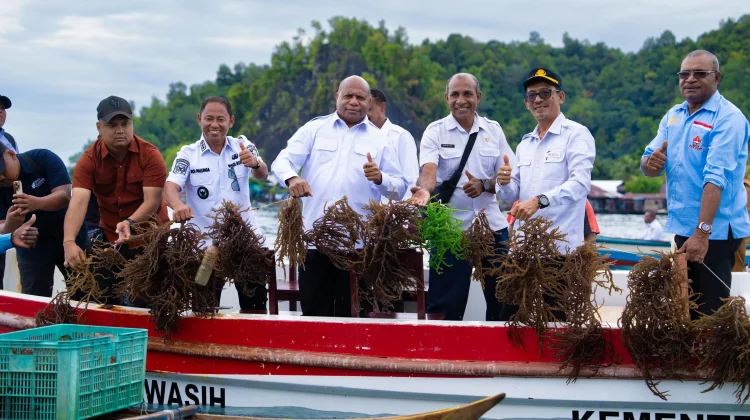 Gubernur Papua Siapkan Pabrik Rumput Laut di Yapen