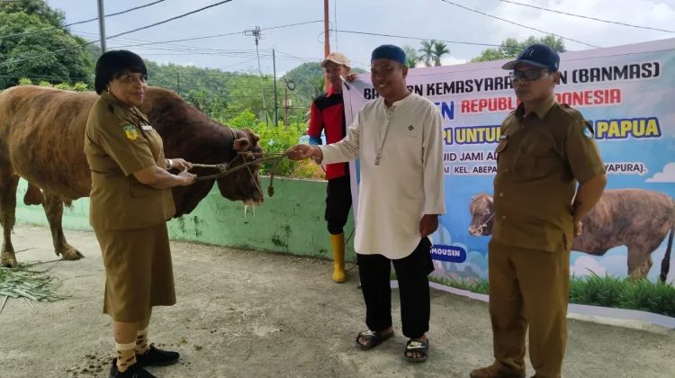 Pemprov Papua Salurkan Hewan Kurban ke Seluruh Kabupaten/Kota