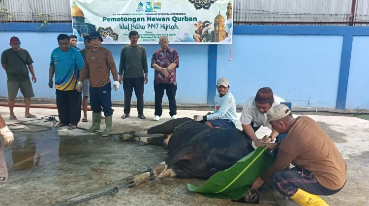 PT Air Minum Jayapura Bagikan Daging Kurban untuk Pegawai Lintas Agama