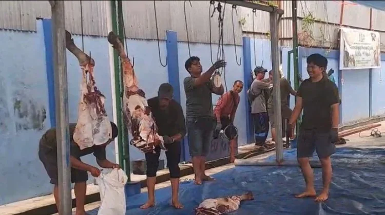 Direksi hingga Pegawai PT Air Minum Jayapura Terlibat Langsung dalam Kurban
