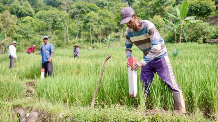 Sengketa Tanah Bisa Dicegah dengan Memasang Patok Batas