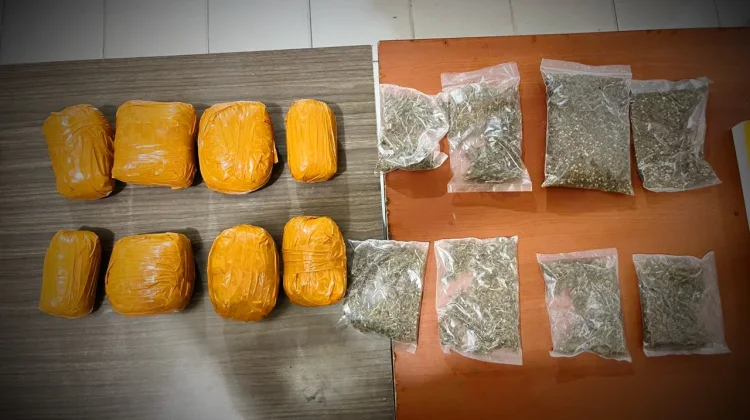 Seorang Pria PNG Dibekuk Tim Opsnal Narkoba Polresta Bersama 1,5 Kilogram Ganja