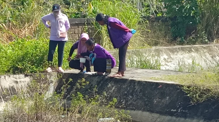 Survei Jentik Malaria di Kota Jayapura