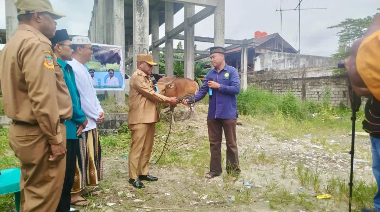 Wakil Bupati Jayapura Serahkan Hewan Kurban di Masjid Al-Aqsa Sentani