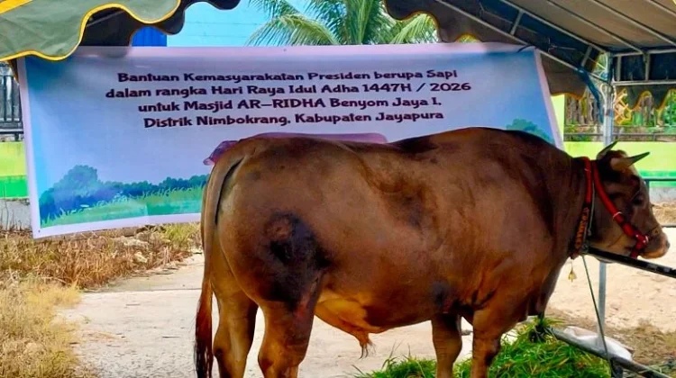 Pemkab Jayapura Salurkan 75 Hewan Kurban ke Masyarakat