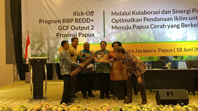 Papua Mulai Manfaatkan Dana Iklim Rp29,6 Miliar untuk Kelola Hutan