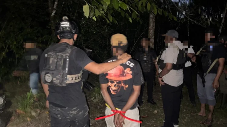 Satgas Ops Damai Cartenz Tangkap Anggota KKB HSSBI di Yahukimo