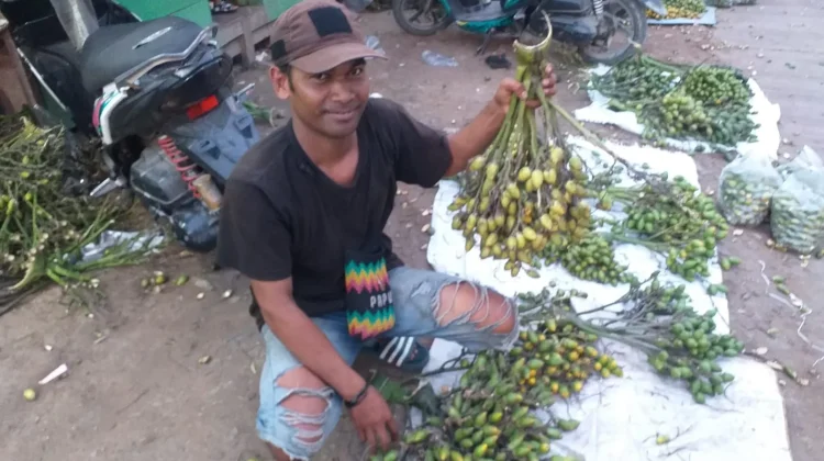 Buah Pinang bagi Masyarakat Papua sebagai Pelengkap Lima Sempurna.
