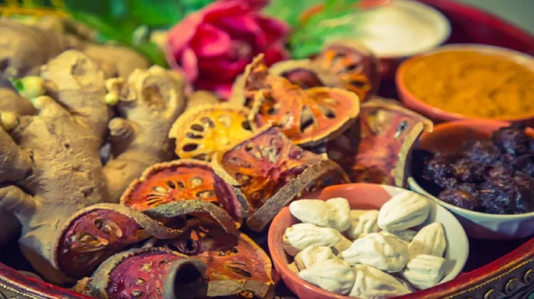 Fakta Tanaman Obat, Wawasan Ilmiah dan Tradisional
