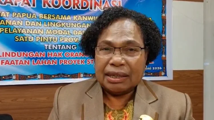 MRP Soroti Terbatasnya Kewenangan Daerah Kelola SDA dalam Proyek PSN di Papua
