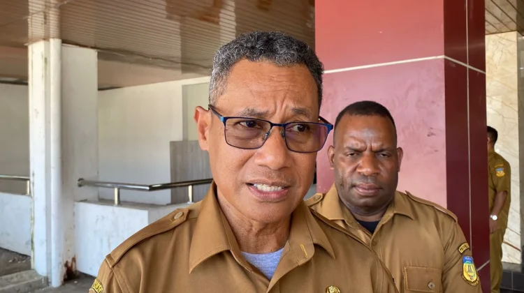 Cakupan Pengobatan Malaria di Papua Tembus 90 Persen