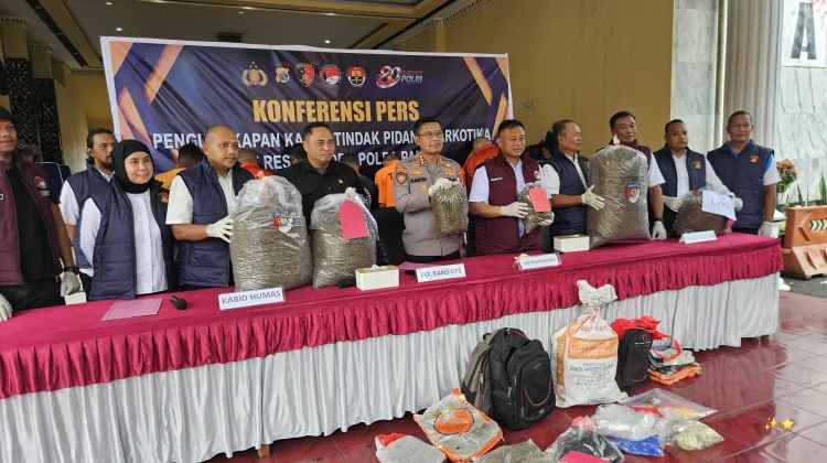 Polda Papua Tangani 104 Kasus Narkotika Selama Semester I 2026