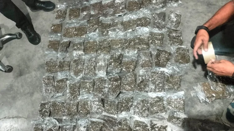 Satgas Citarum Bais TNI Gagalkan Pengiriman 2 Kilogram Ganja ke Sorong