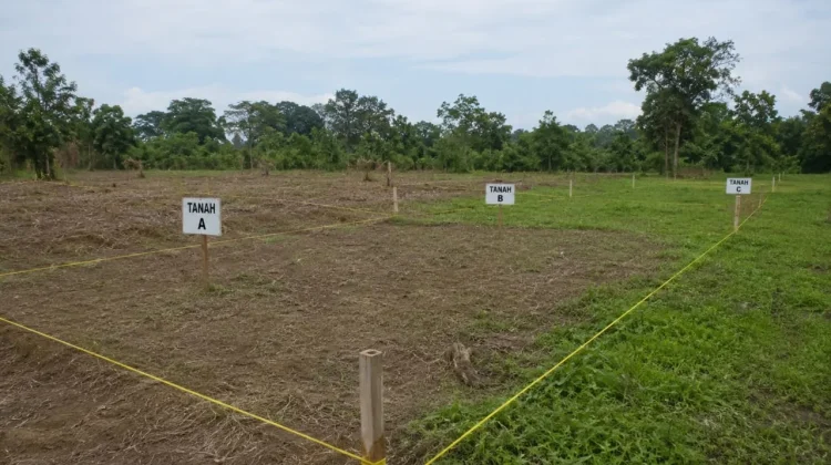 ATR/BPN Jelaskan Prosedur Pemisahan Bidang Tanah