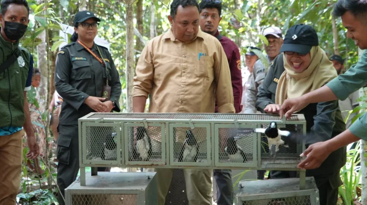 Karantina Papua Selamatkan Puluhan Satwa Endemik dari Perdagangan Ilegal