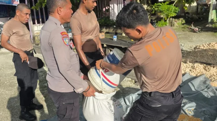 Personil Polres Jaya Panen Jagung dukungan Ketahanan Pangan
