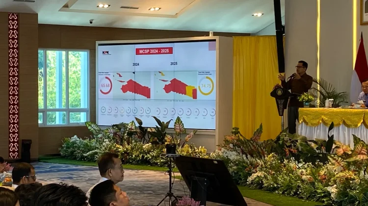 Ratusan Kendaraan Dinas Pemprov Papua Bermasalah, Nilainya Rp34,4 Miliar