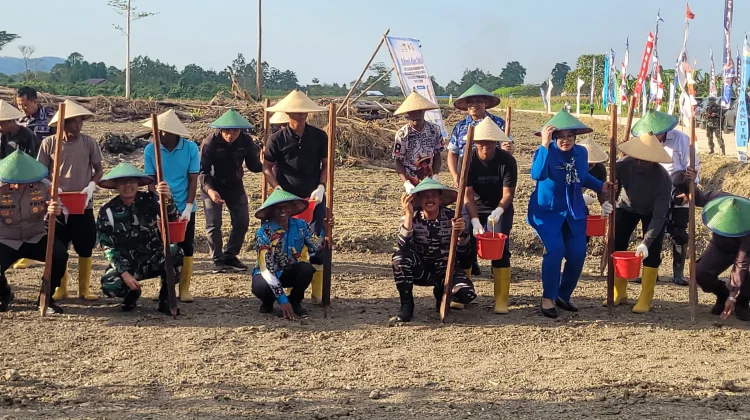 Kodaeral X Canangkan Budidaya Kedelai di Keerom untuk Ketahanan Pangan Nasional