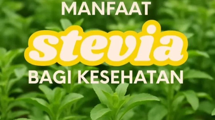 Mengenal Stevia, Pemanis Alami Pengganti Gula