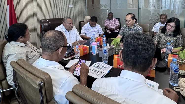 BPJS Kesehatan dan Pemprov Papua Perkuat Sinergi Jaga Keberlanjutan Program JKN